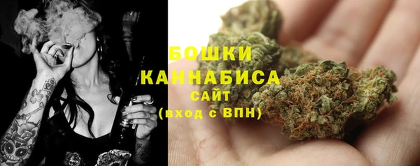 скорость Ладушкин