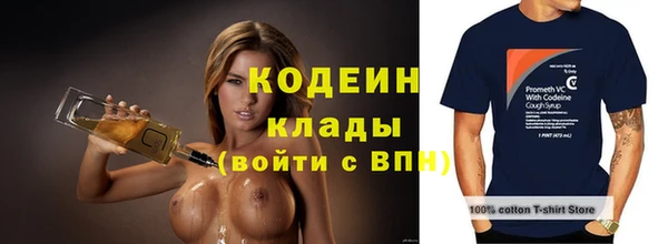 скорость Ладушкин
