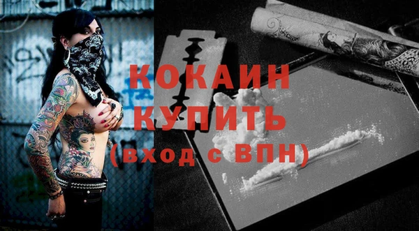 шишки Лагань