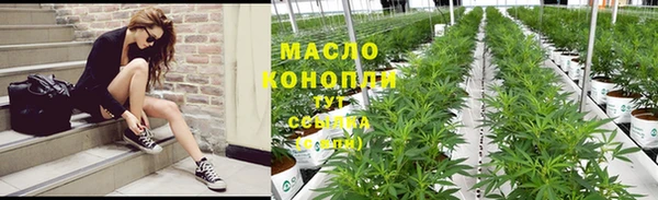 шишки Лагань